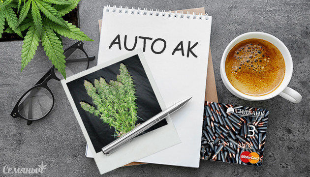 Гроурепорт сорта Auto Ak (AK 47 Auto) от сидбанка Семяныч