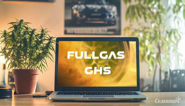 Гроурепорт сорта Fullgas GHS 