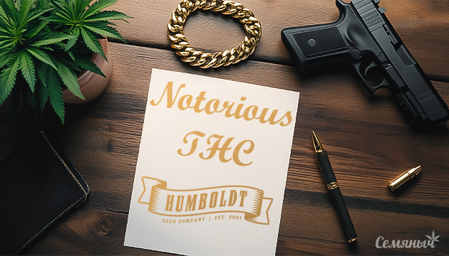 Гроурепорт сорта Notorious THC fem от Humboldt Seed Company